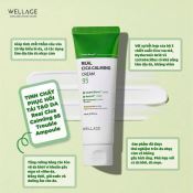 Kem Dưỡng Wellage Real Cica Calming 95 Cream Cấp Ẩm, Phục Hồi Da 80ML-1