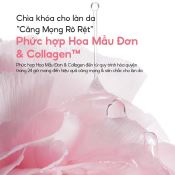 Mặt Nạ Ngủ Laneige Bouncy & Firm Sleeping Mask Tăng Cường Collagen Và Làm Săn Chắc Da 60ml-3