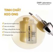 Tinh Chất Cnp Laboratory Propolis Energy Active Ampule Keo Ong Tái Tạo Phục Hồi Da 15ml-2