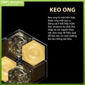 Tinh Chất Cnp Laboratory Propolis Energy Active Ampule Keo Ong Tái Tạo Phục Hồi Da 35ml-2